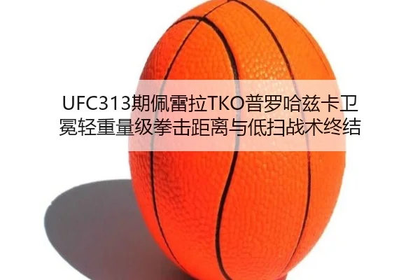 qi-pei-lei-la-pu-luo-ha-zi-ka-wei-mian-qing-zhong-liang-ji-quan-ji-ju-li-yu-di-sao-zhan-shu-zhong-jie-3-199.jpg